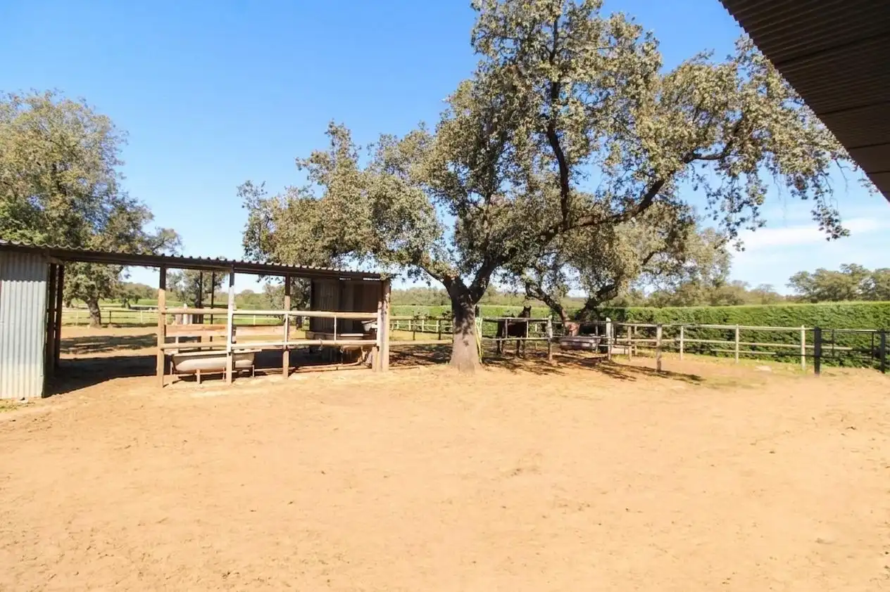 Casa con piscina en venta en Carretera de Sevilla - Los Montitos, imagen 70