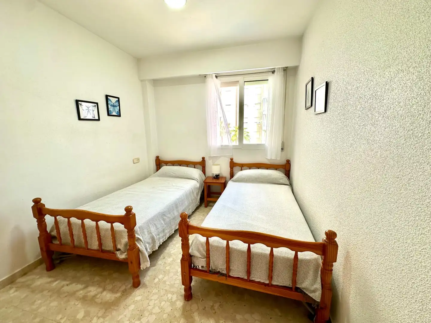 Appartement compact avec terrasse à louer à Playa de Gandia, imagen 15
