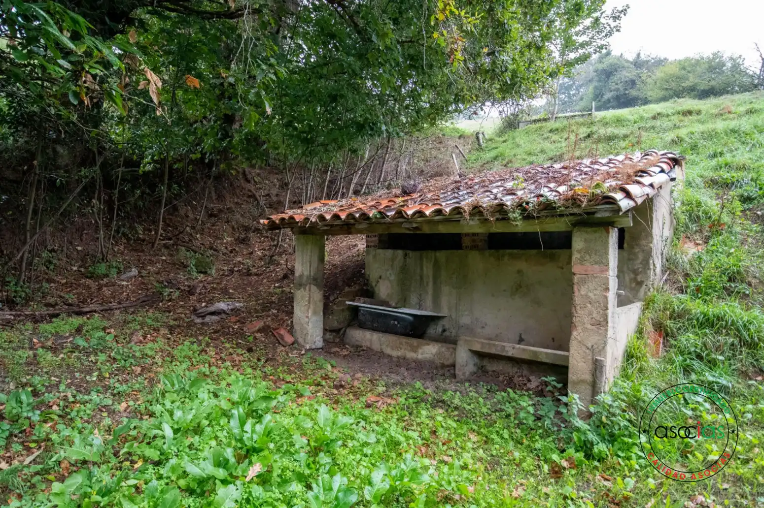 Vista exterior de Casa o xalet en venda en Cabranes amb Calefacció, Jardí privat i Parquet