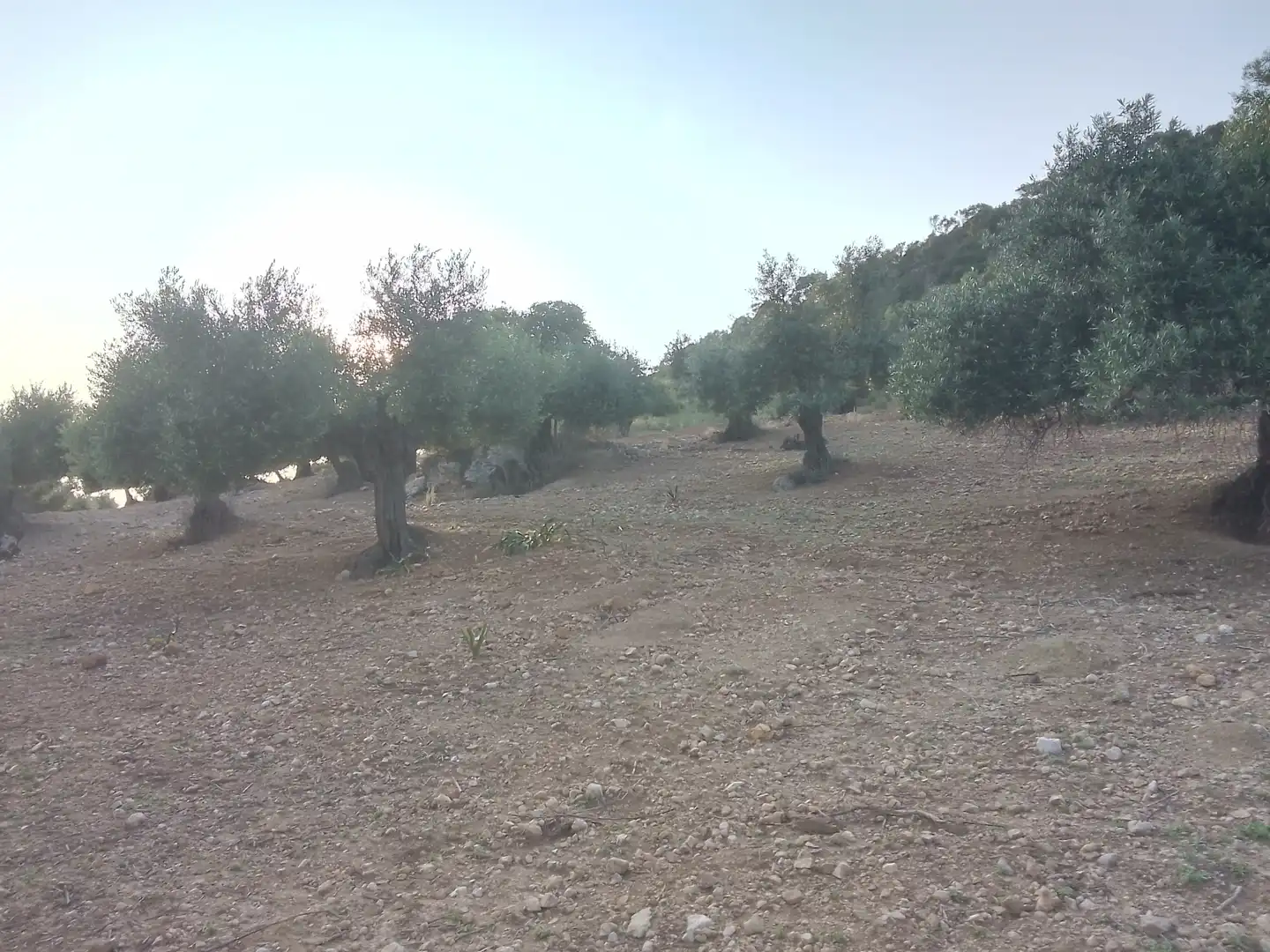 Terreno rústico en venta en Villamartín, imagen 15