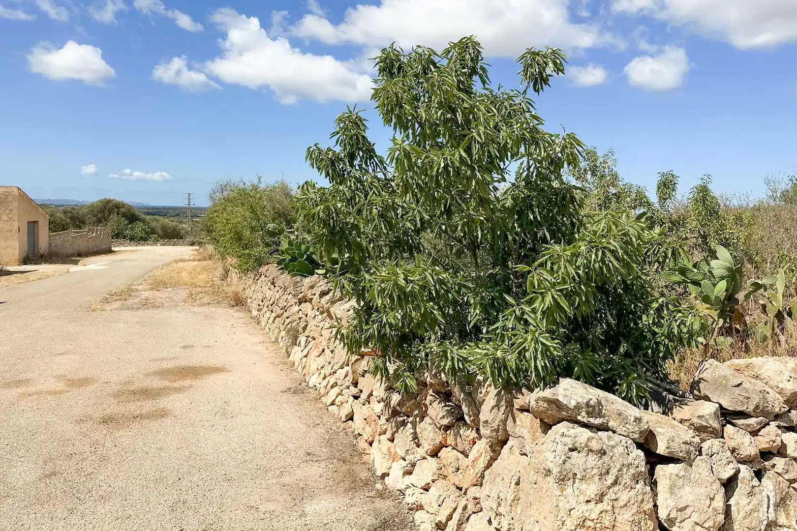 Wohnbaugrundstück zum Verkauf in Ses Salines Poble, imagen 6