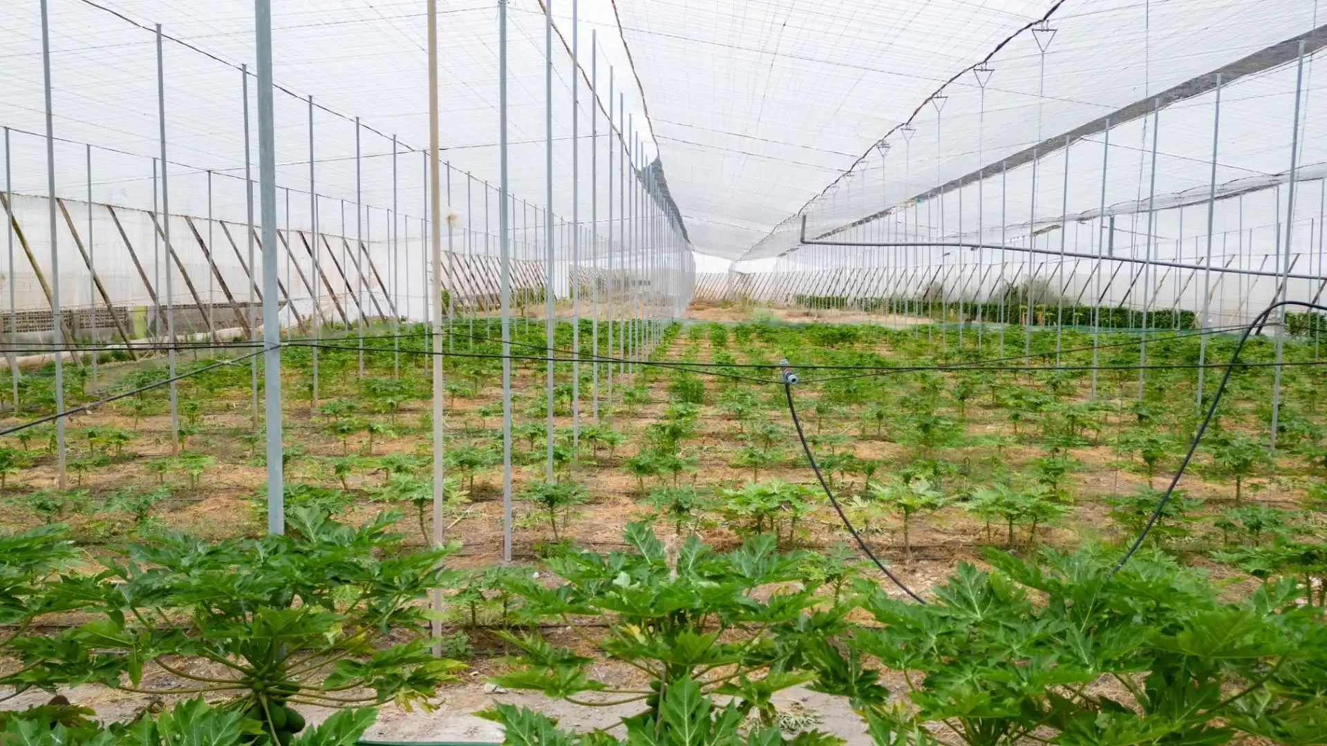 Jardín de Terreno en venta en San Cristóbal de la Laguna