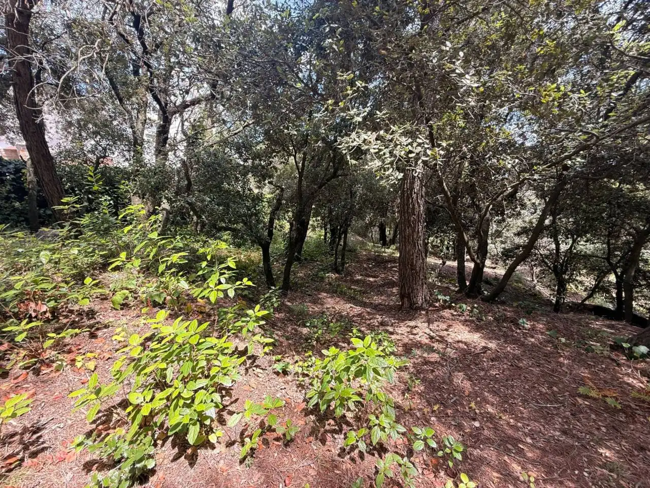 Terreno residenziale in vendita a Calle Fuente de la Pola, imagen 18