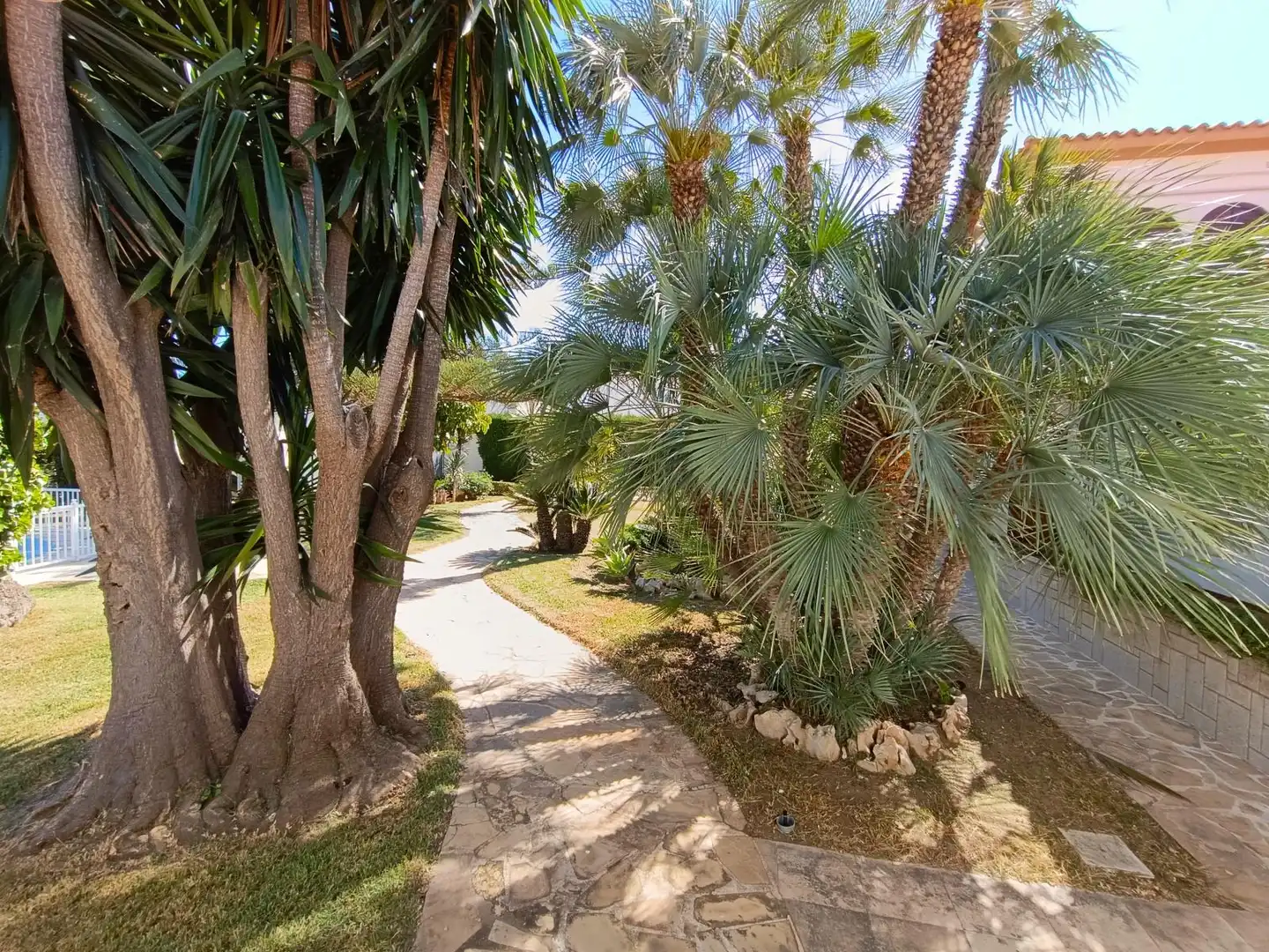 Jardín de Casa o chalet en venta en Vinaròs con Jardín privado, Terraza y Piscina