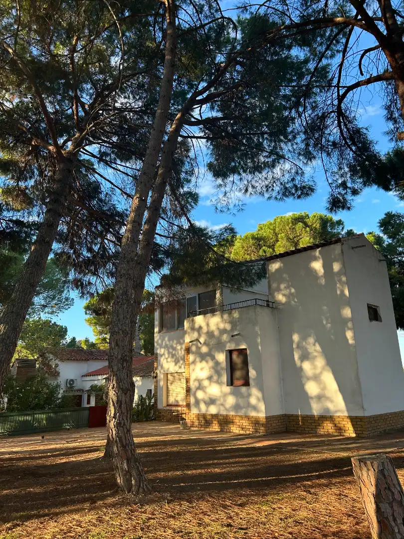 Terreni e lotti in vendita a Fraga, imagen 8