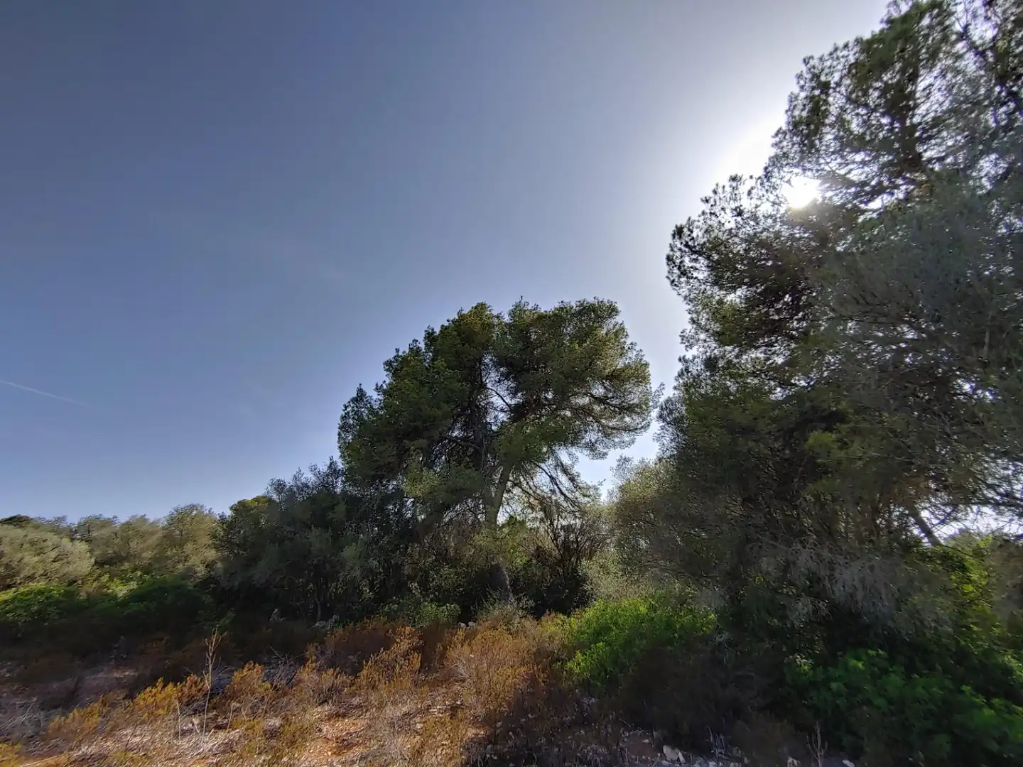 Residencial en venta en Polígono Parcela 12, Cala Pi - Vallgornera