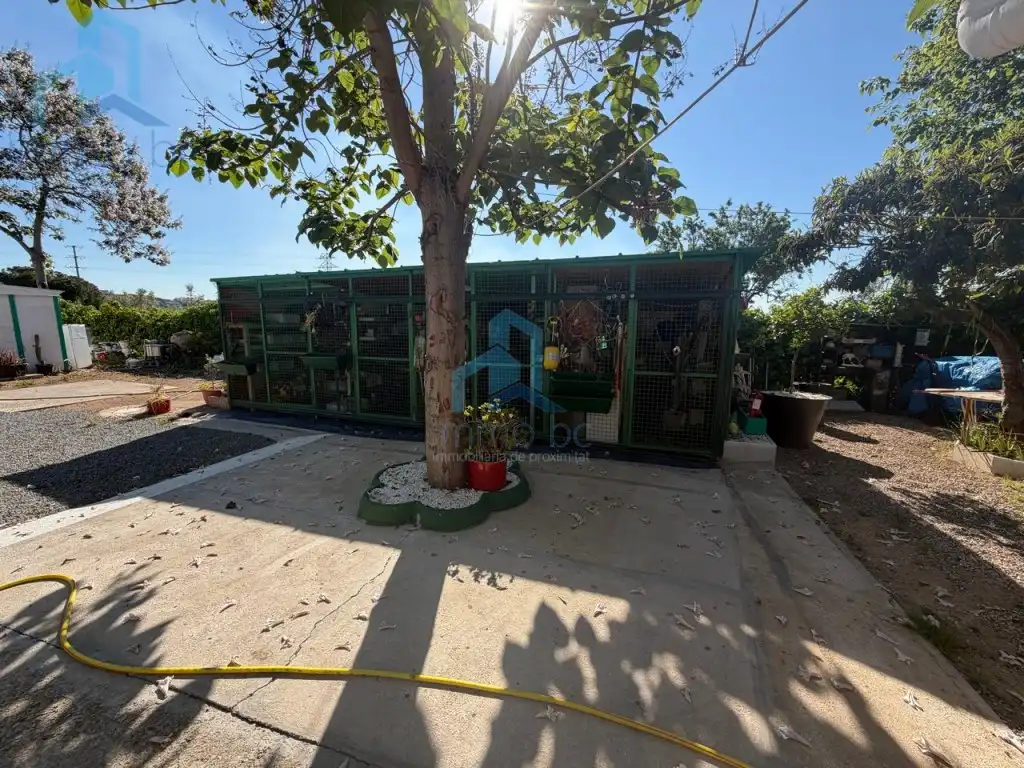 Jardín de Casa o chalet en venta en Constantí