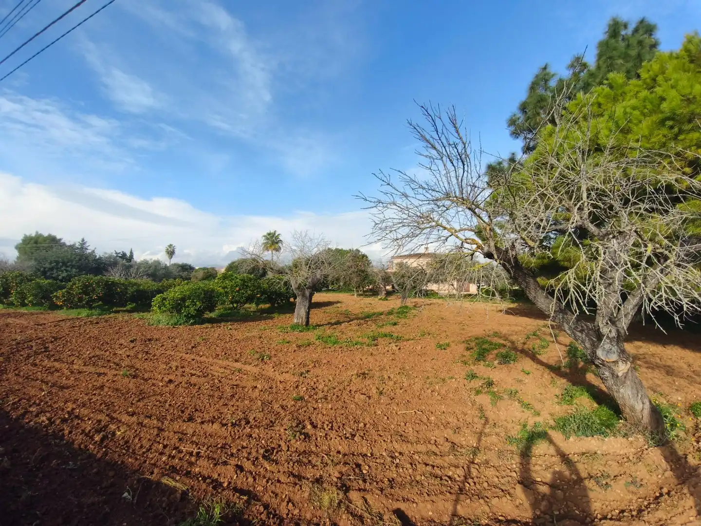 Villa avec piscine à vendre à Zona Periurbana, imagen 23