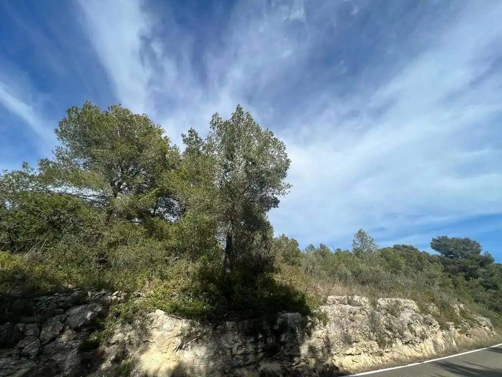 Terreny residencial en venda a Carrer Sant Jordi 9, imagen 4