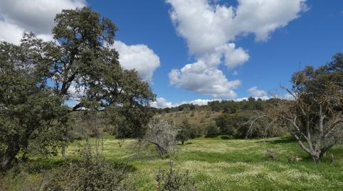 Foto 2 de Casa o xalet en venda a Malcocinado, Badajoz