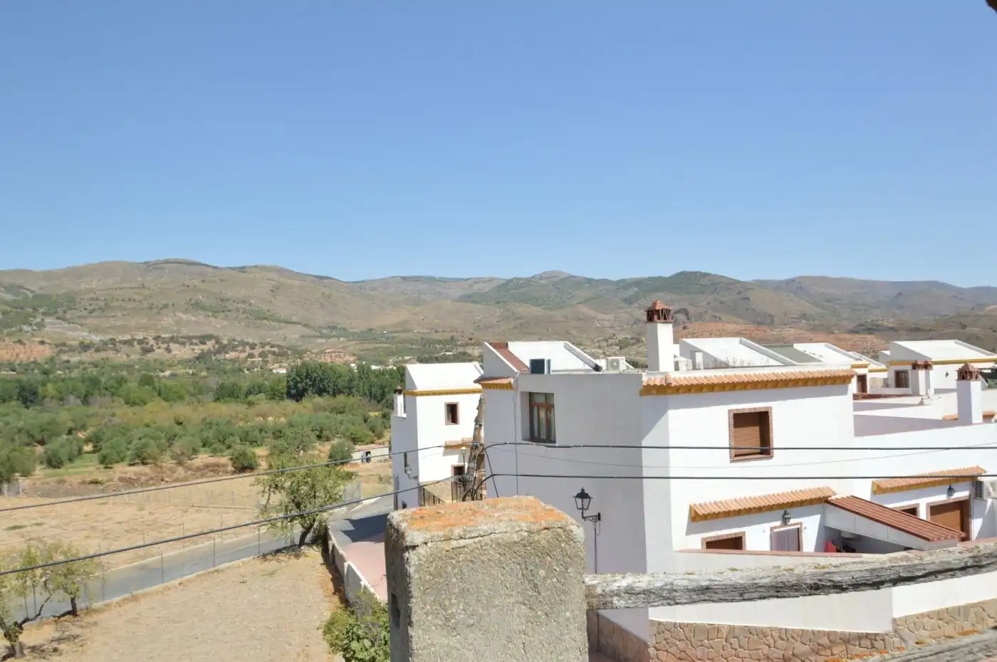 Vista exterior de Finca rústica en venda en Fondón