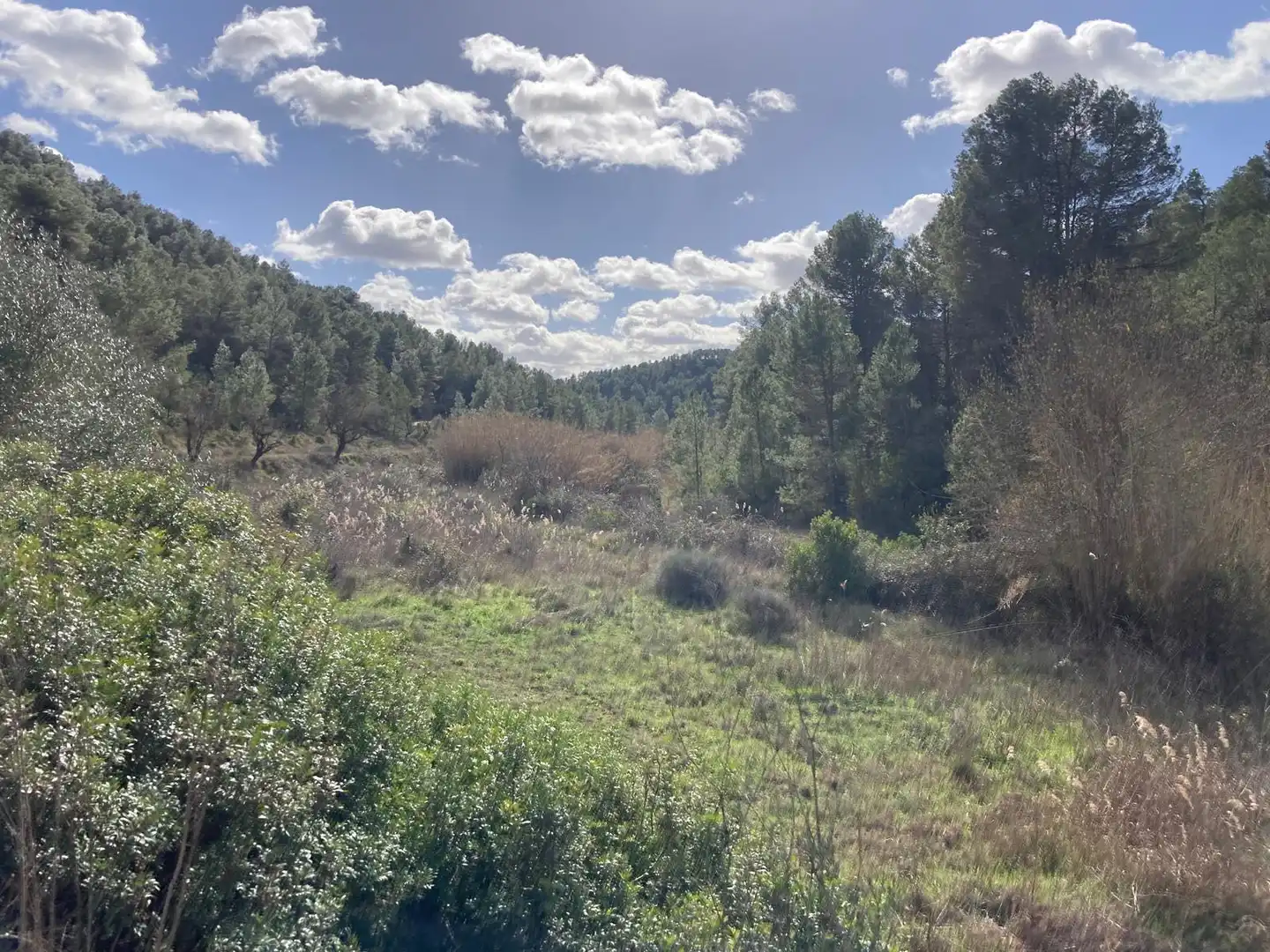Terreni e lotti in vendita a Arens de Lledó, imagen 7