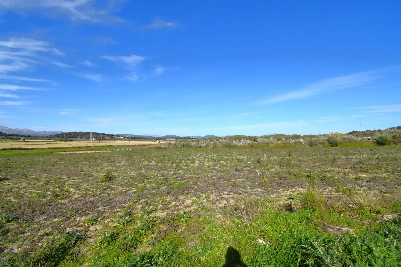 Residential land for sale in Muro, imagen 4