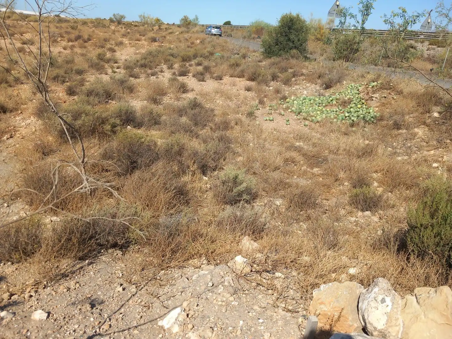 Terreny rústic en venda a San Isidro - Campohermoso, imagen 27