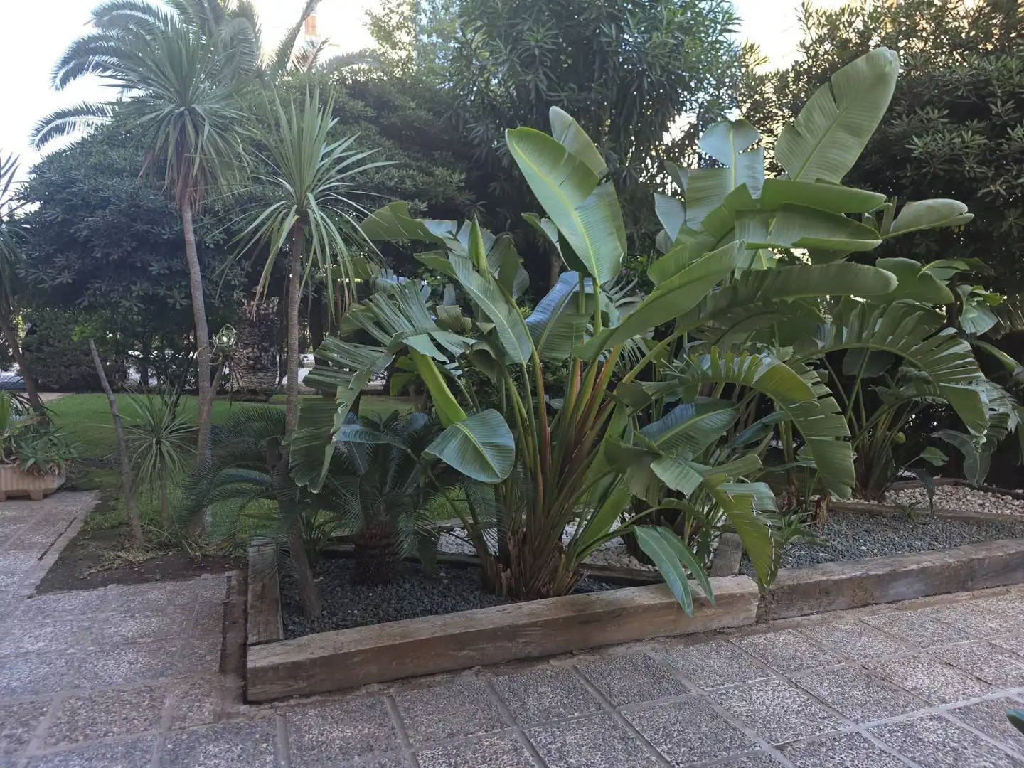 Apartments for rent in Calle GABRIEL Y GALAN-CMOR, Campoamor