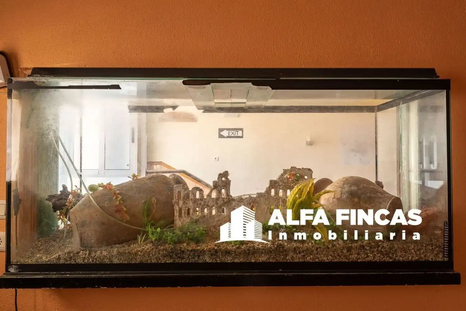 Vista exterior de Local en venta en Villarrobledo