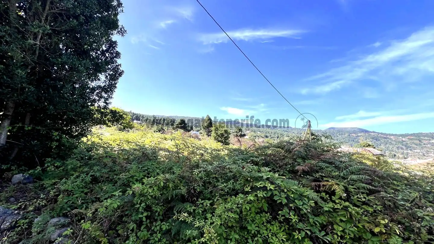Rural land for sale in La Vega - El Amparo - Cueva del Viento, imagen 11