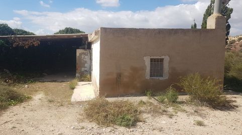 FINCA RÚSTICA, imagen 4
