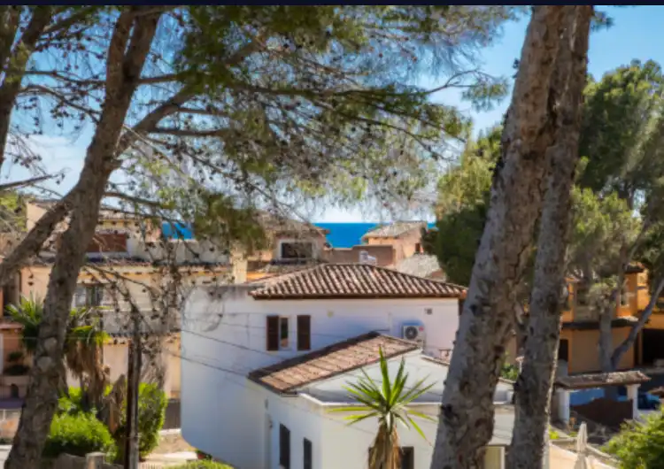 Vista exterior de Casa o chalet en venta en Calvià con Aire acondicionado, Calefacción y Jardín privado