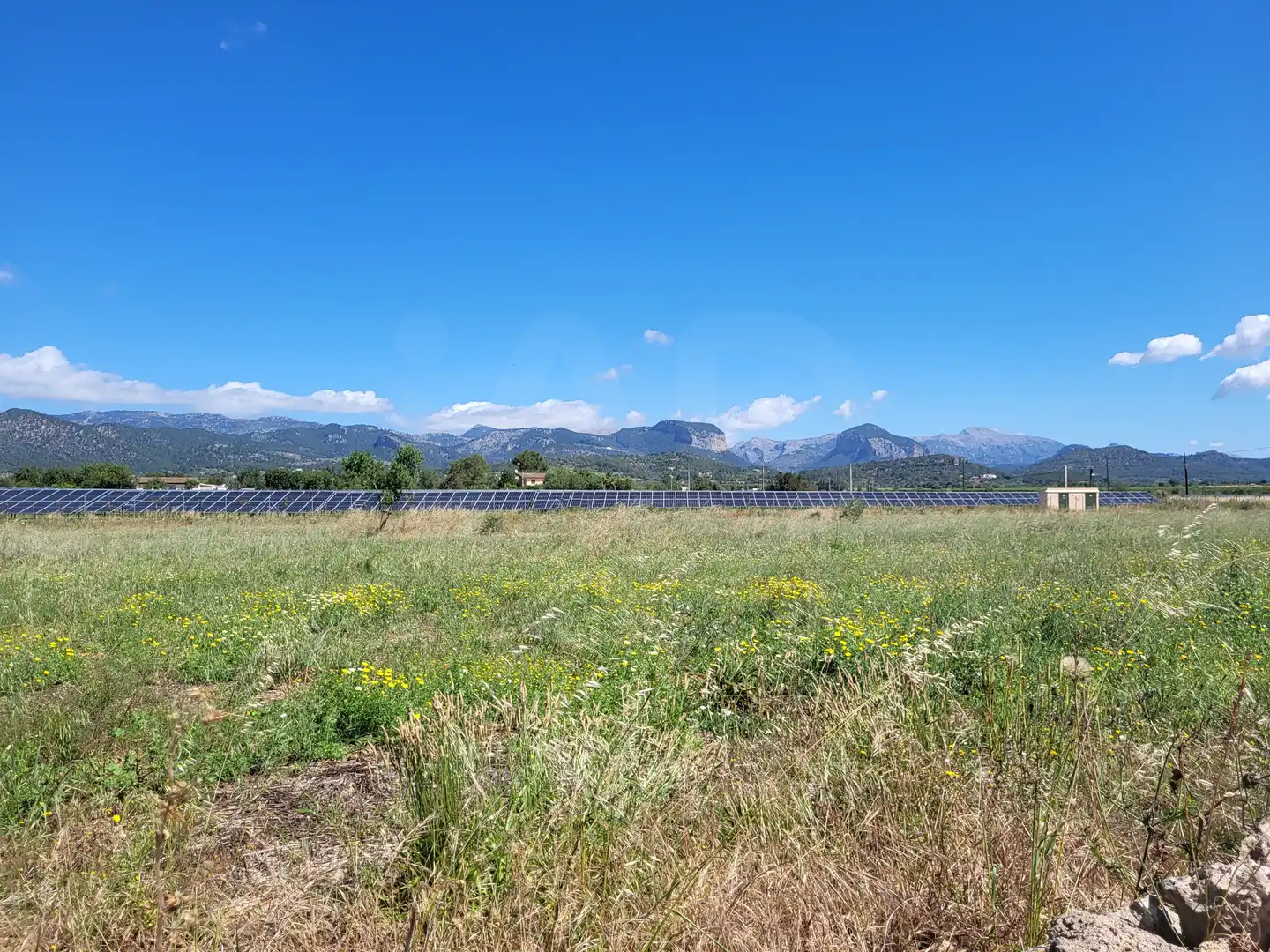 Terrain rustique à vendre à Polígono 2 Parcela 1, imagen 7