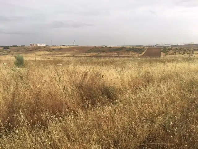 Terreny rústic en venda a El Carpio de Tajo