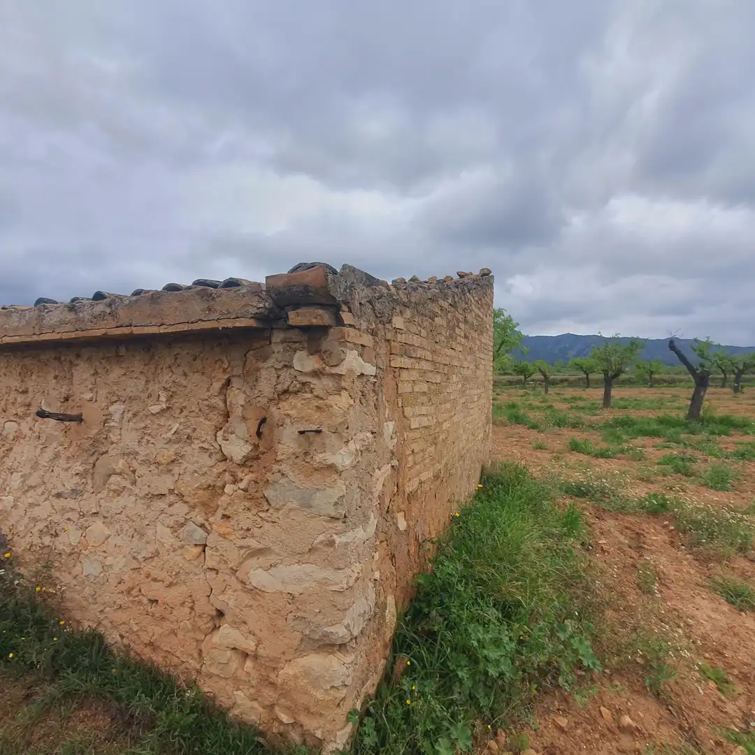 Rustikales Grundstück zum Verkauf in El Pinell de Brai, imagen 12
