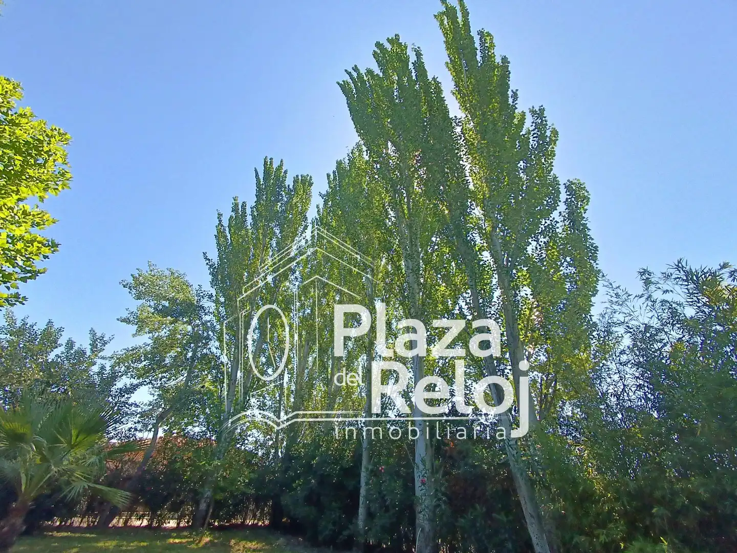 Casa o chalet en venta en Cazalegas con Calefacción, Jardín privado y Piscina
