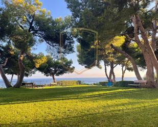 Jardí de Apartament de lloguer en Benidorm