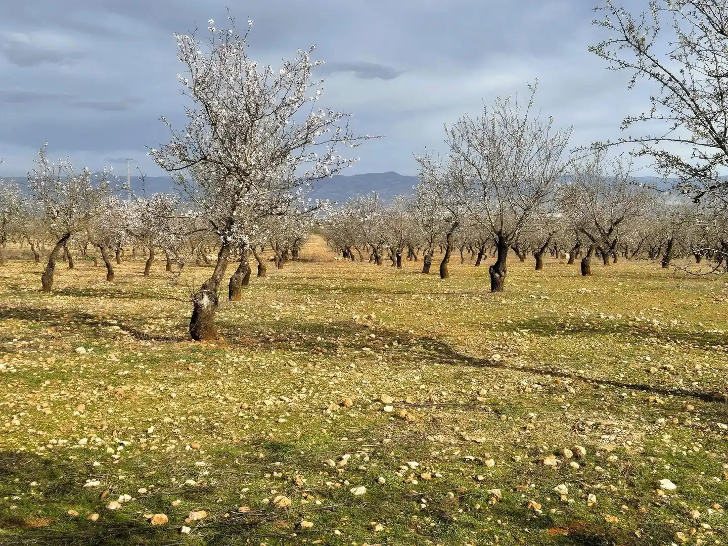Terreno residencial en venta en Salar, imagen 15