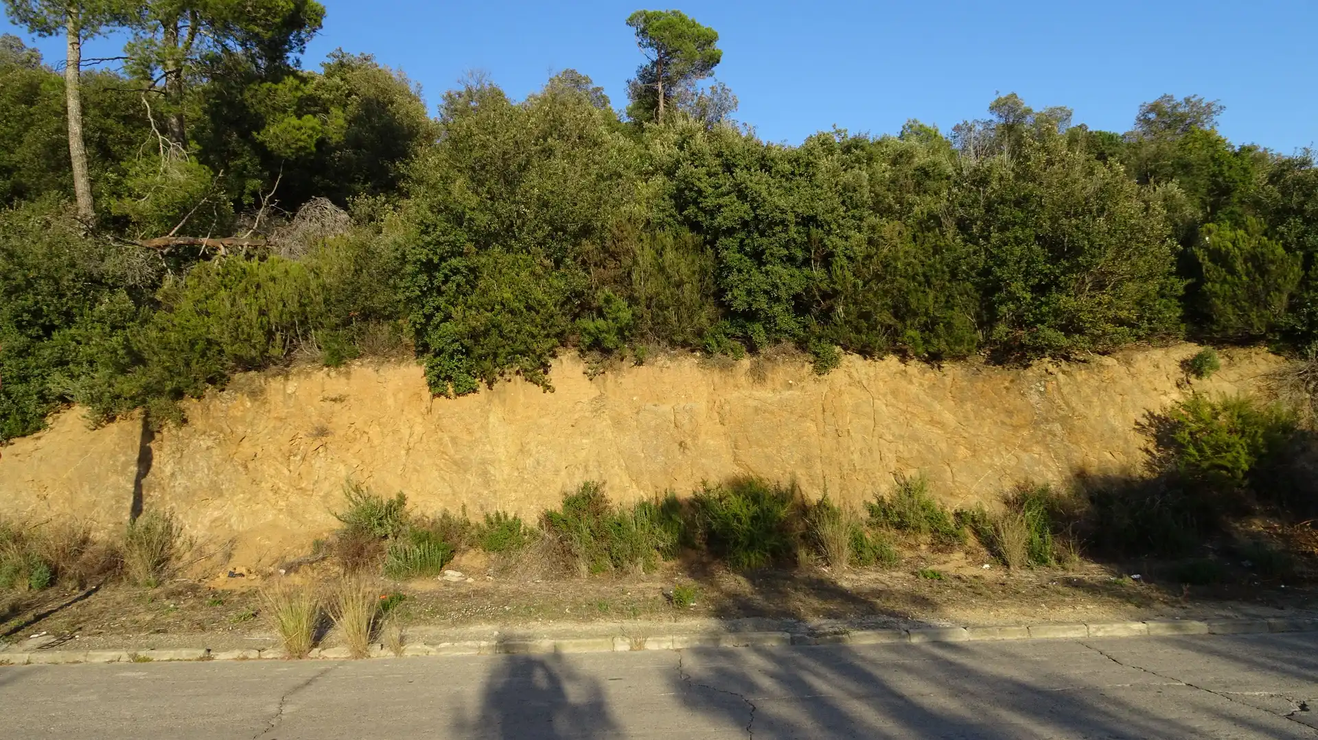 Wohnbaugrundstück zum Verkauf in Urbanització Can Regasol 43, imagen 6