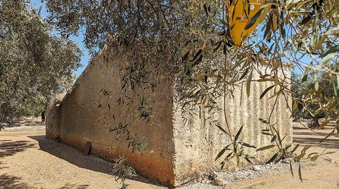 Terreno rústico de secano con caseta, de 75.916m en Partida Termets de Ulldecona Tarragona., imatge 5