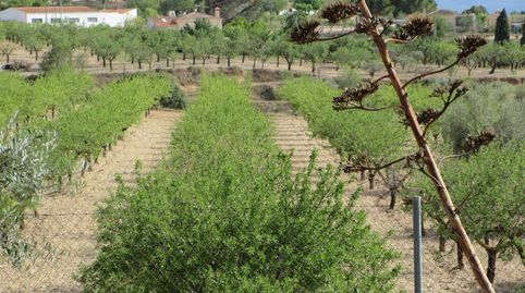 Masía en venta en Ibi, imatge 2