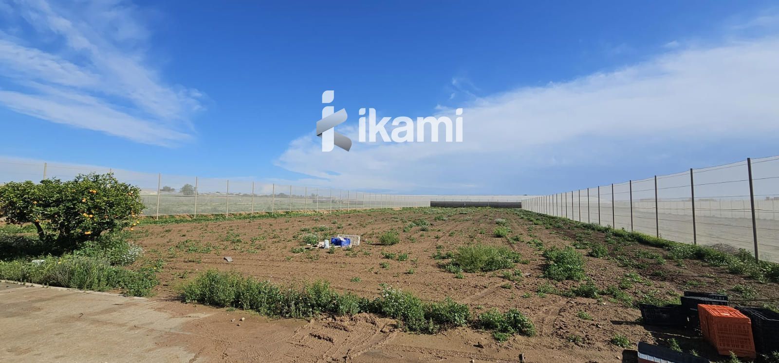 Land for sale in Torre-Pacheco