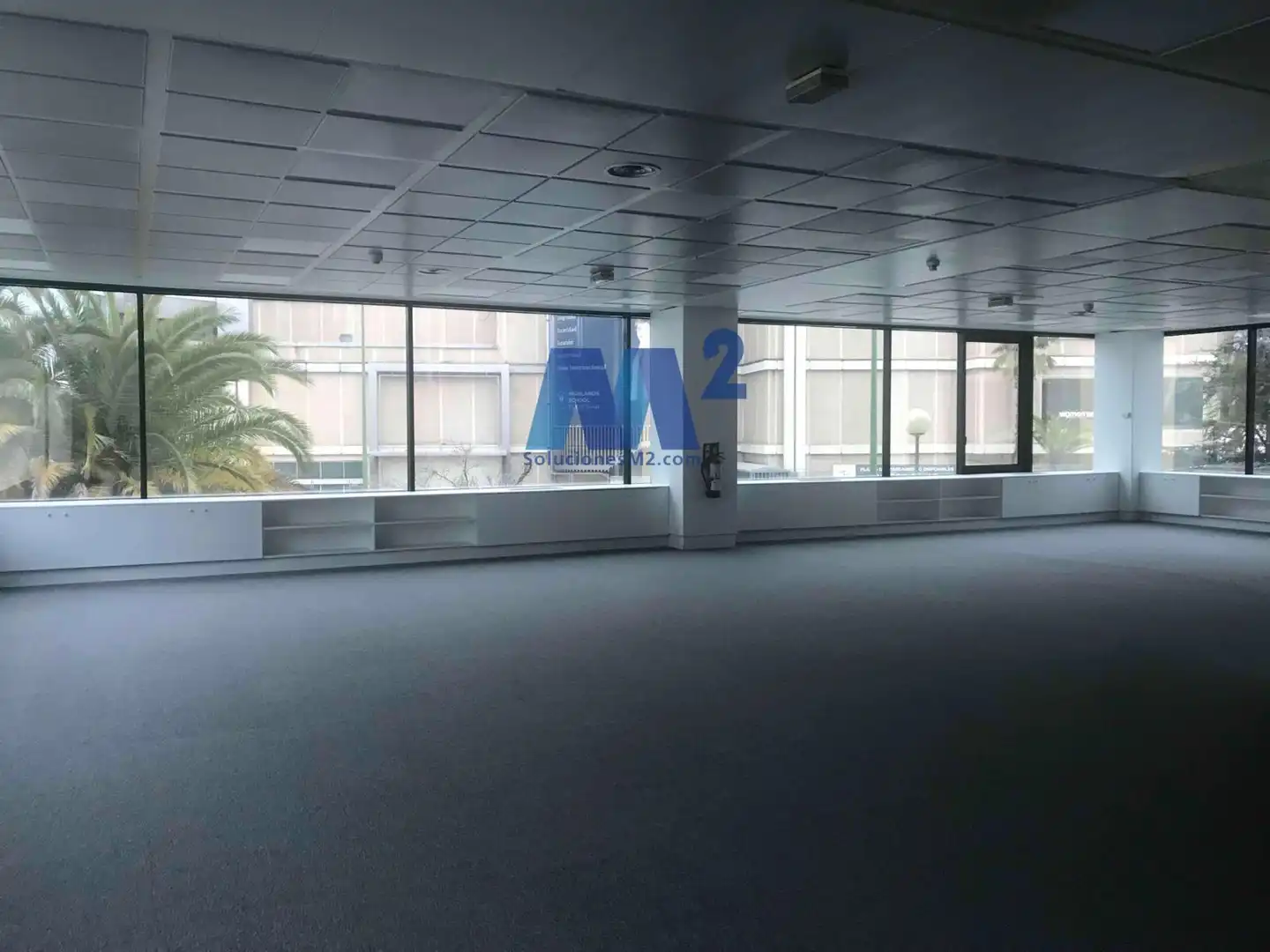 Office space to rent in Europa, imagen 24