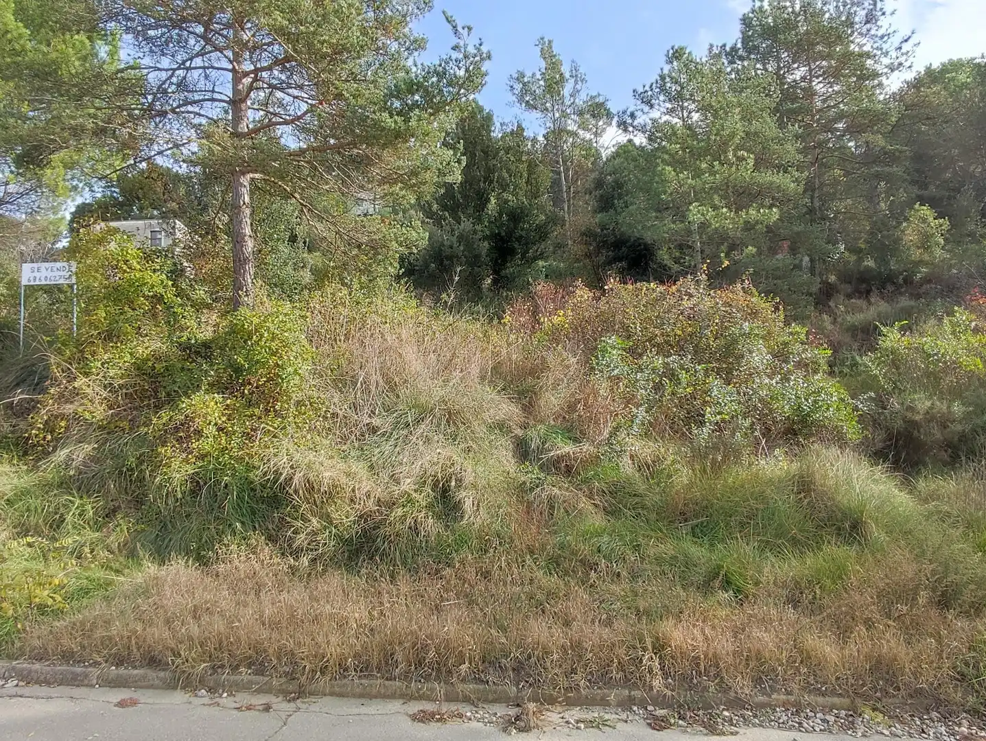 Terrain rustique à vendre à Monistrol de Calders, imagen 4