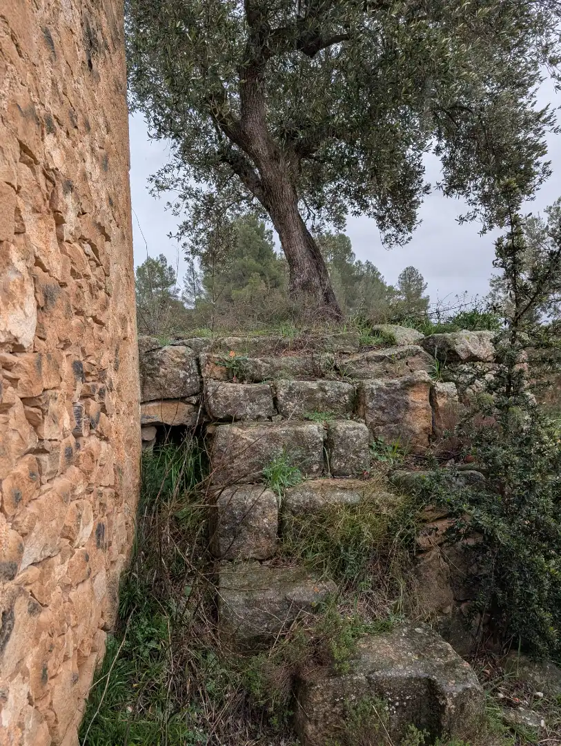 Terreni e lotti in vendita a Torre del Compte, imagen 4