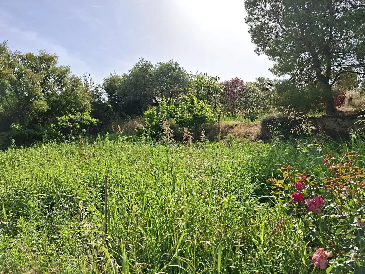 Country homes for sale in Caspe  with Private garden, Swimming Pool and Furnished