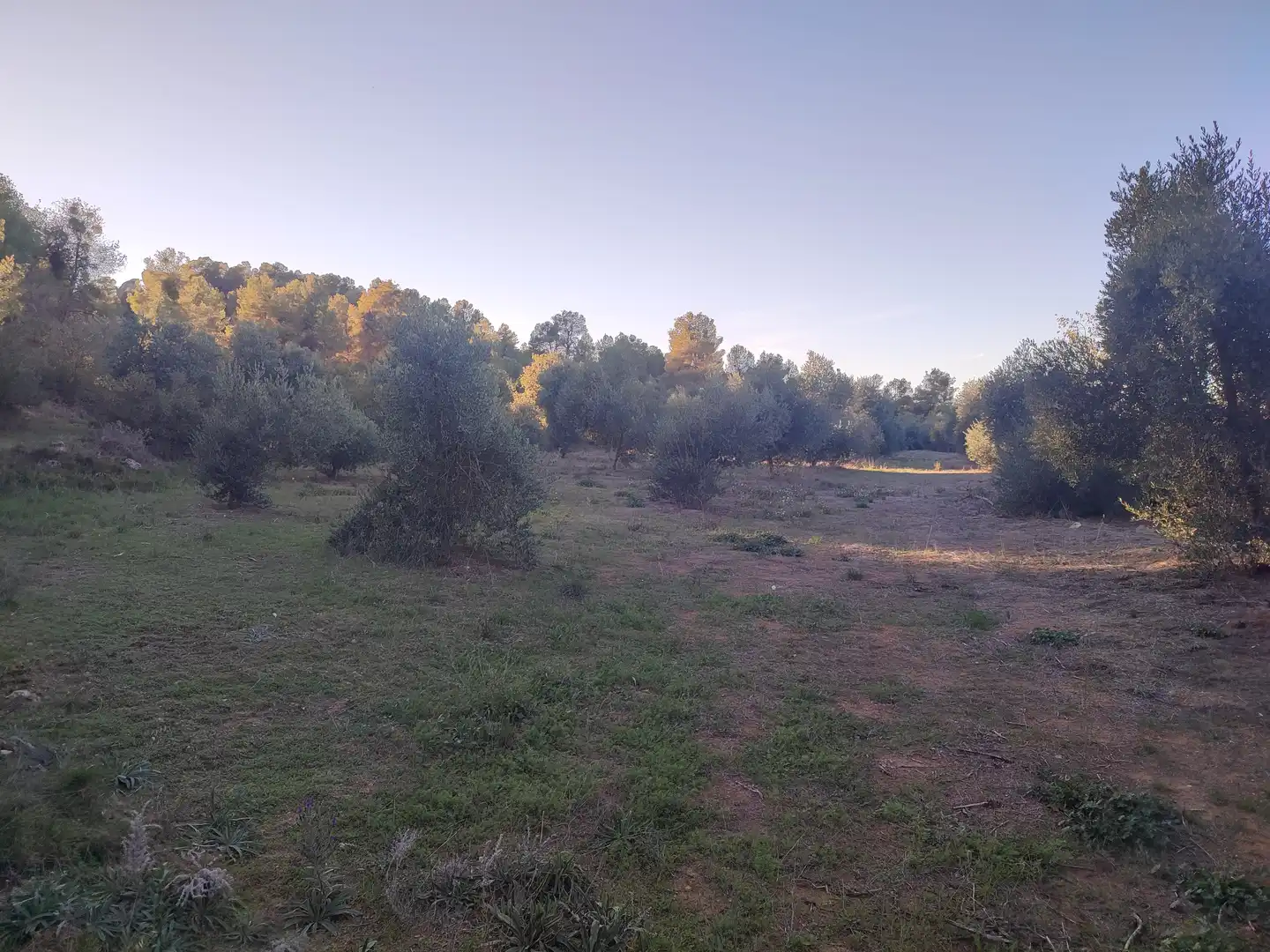 Terreno rústico en venta en Cervià de Les Garrigues, imagen 35