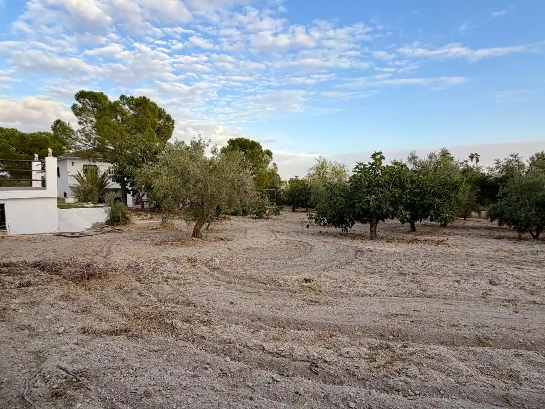 Casa o xalet en venda a C. Rio Guadiana, Villarejo de Salvanés