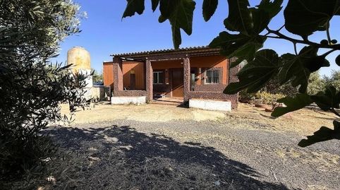 Foto 3 de Finca rústica en venta en La Palma del Condado, Huelva