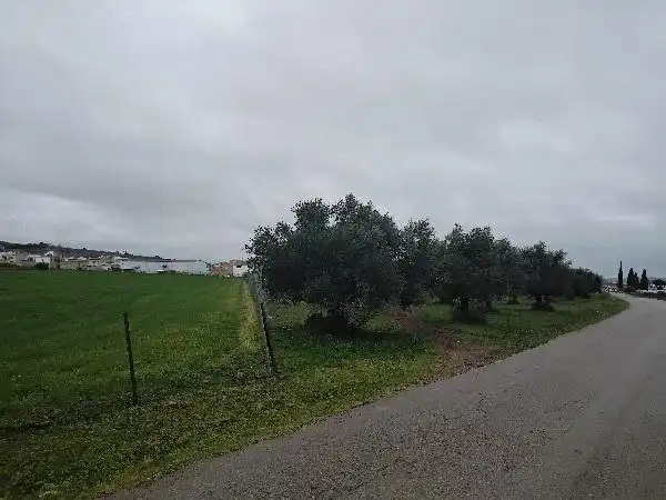 Rustikales Grundstück zum Verkauf in Puerto Serrano, imagen 13