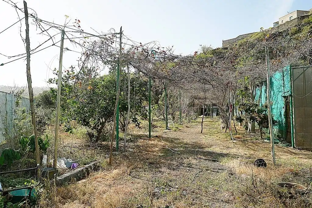 Finca rústica en venta en Camino DEHESA, 10, Santa María de Guía de Gran Canaria