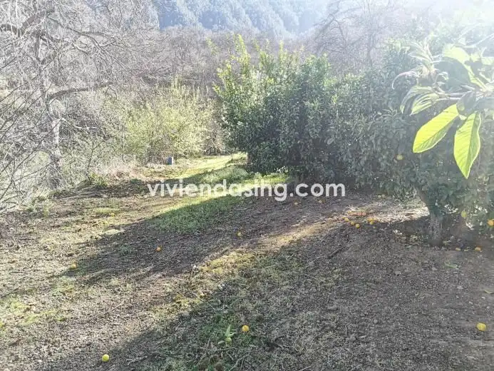 Terrain rustique à vendre à El Bebedero - Pinolere - Aguamansa, imagen 13