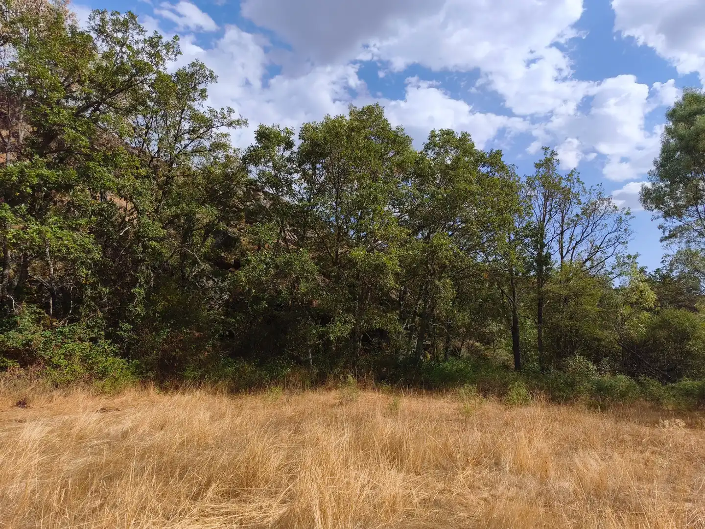 Terreno en venta en Piñuécar-Gandullas