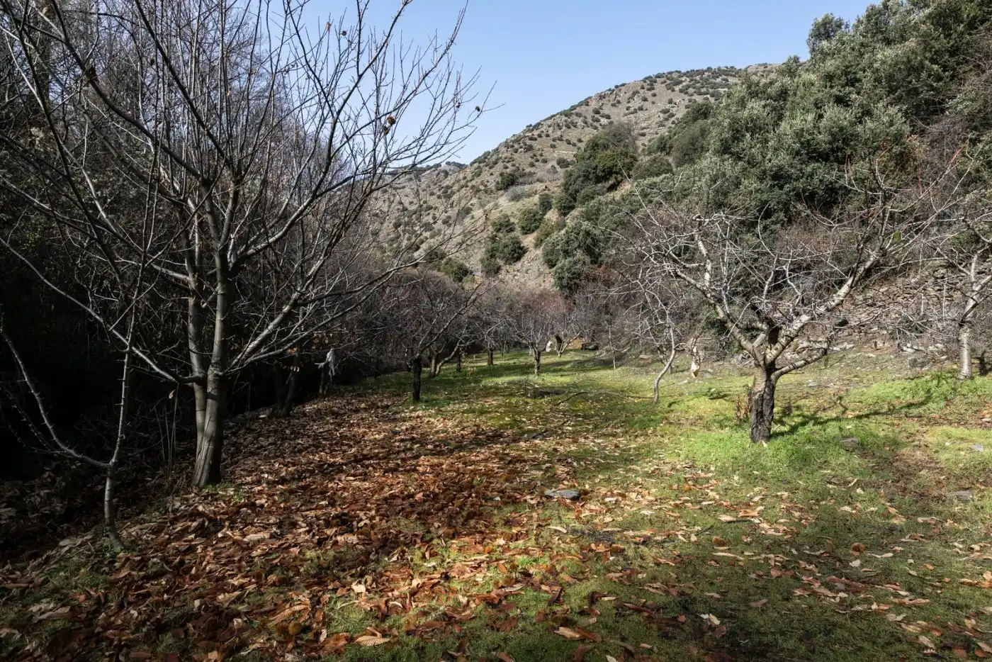 Terreni e lotti in vendita a Majadillas, imagen 22