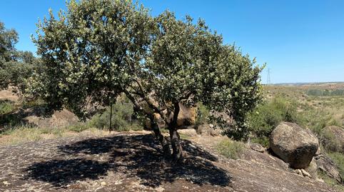 Foto 3 de Terreny en venda a Villasequilla, Toledo
