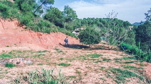 TERRENO URBANO EN RELLINARS DE 946 M2  ZONA EL PLANET, immagine 2