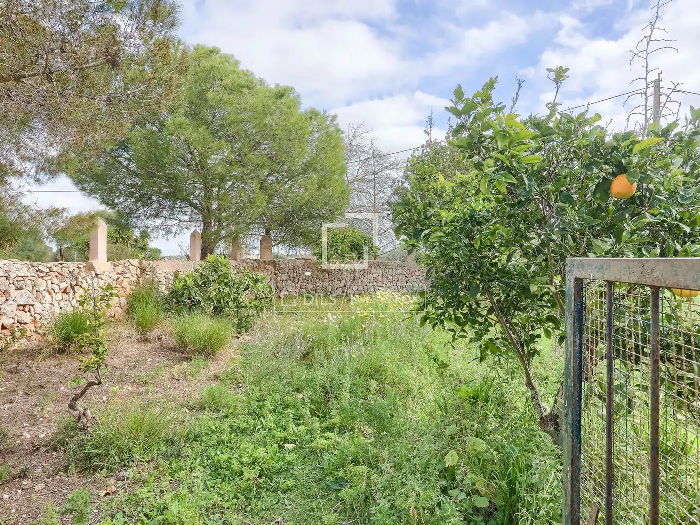 Casa rústica con jardín en venta en Llucmajor pueblo, imagen 20