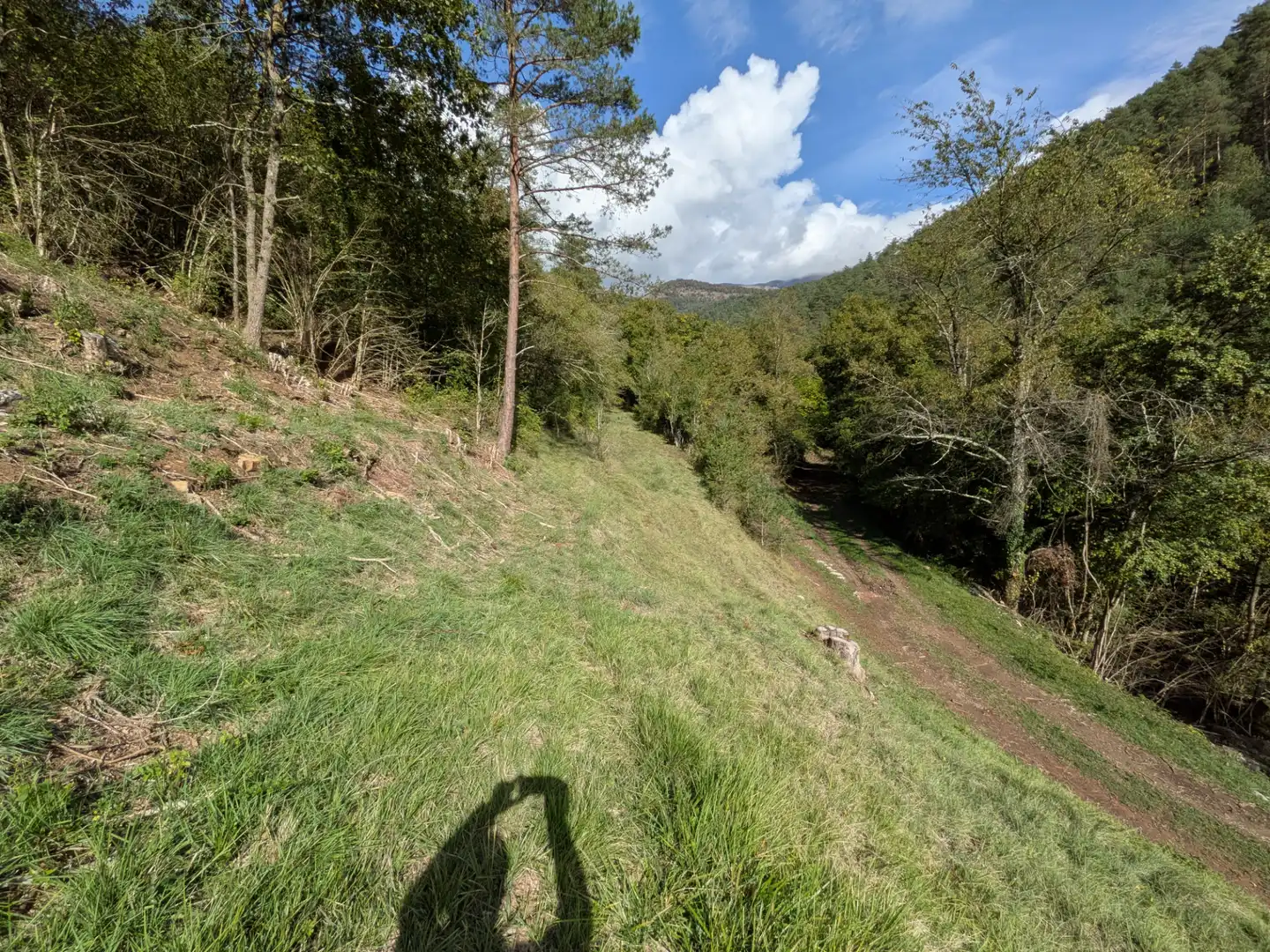 Finca rústica en venta en Sant Joan de les Abadesses, Girona
