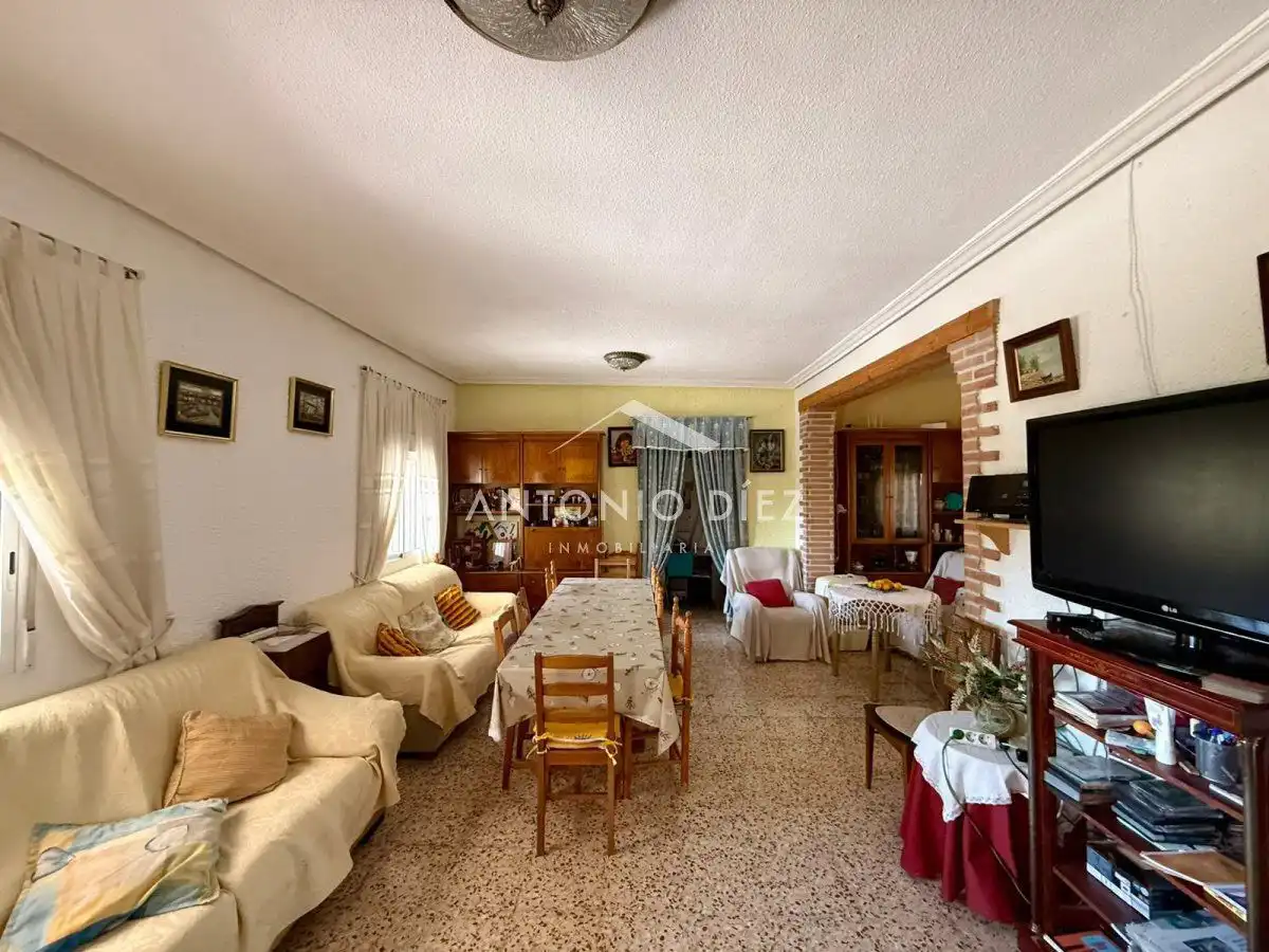 Sala d'estar de Casa o xalet en venda en Aspe amb Terrassa